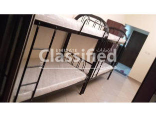 Bed Space for Rent in Alqusais Al Qusais